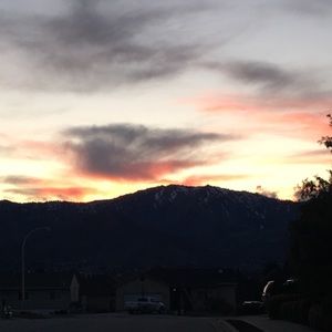 Meet your Posher, Alexee